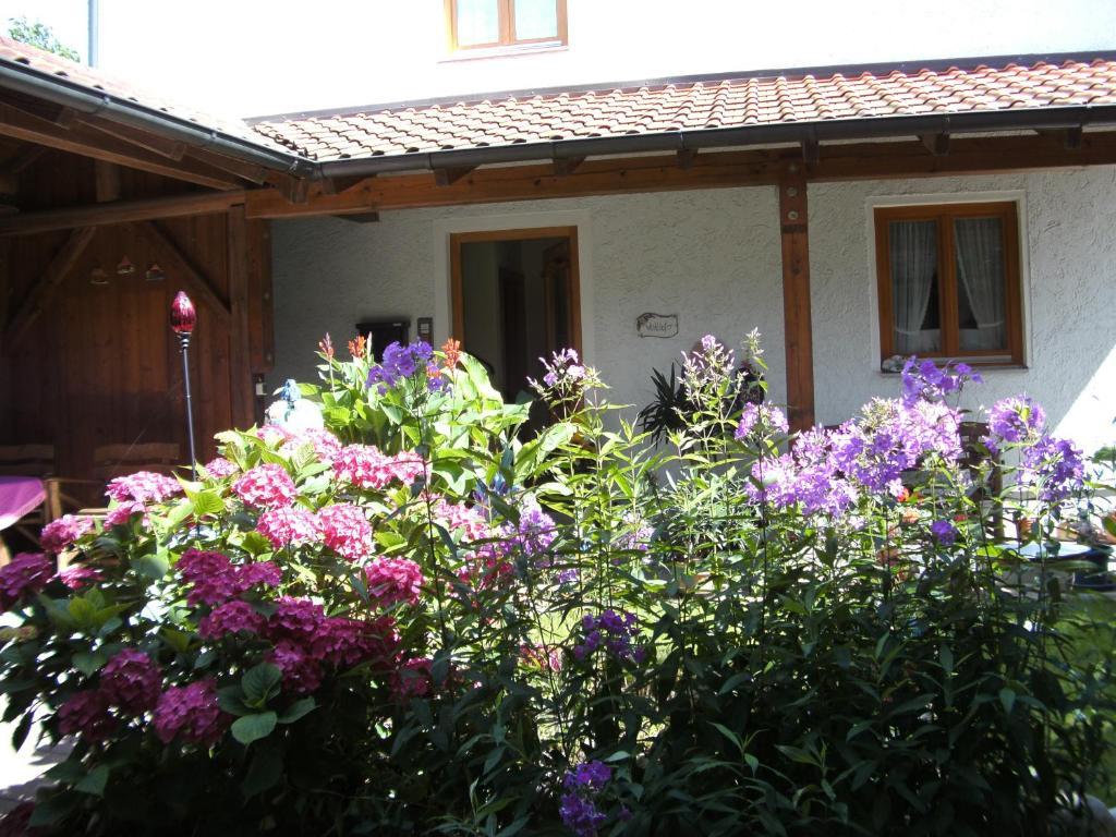 Appartementhaus Elisabeth Winklhofer Bad Füssing Rum bild